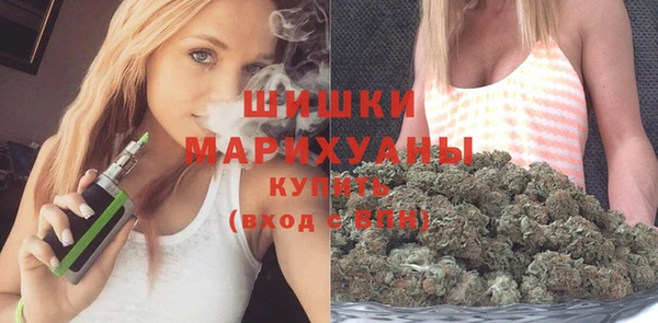 крисы Осинники