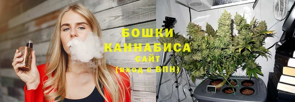 крисы Осинники