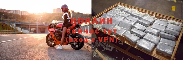 крисы Осинники
